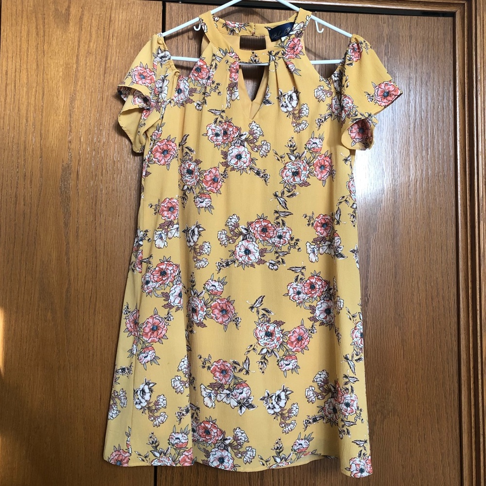 Francesca’s Blue Rain Dress